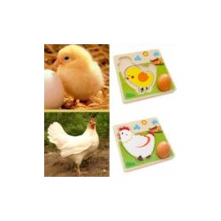 2554 *Gallinita Secuencias* (18x18x5.5 cm.)